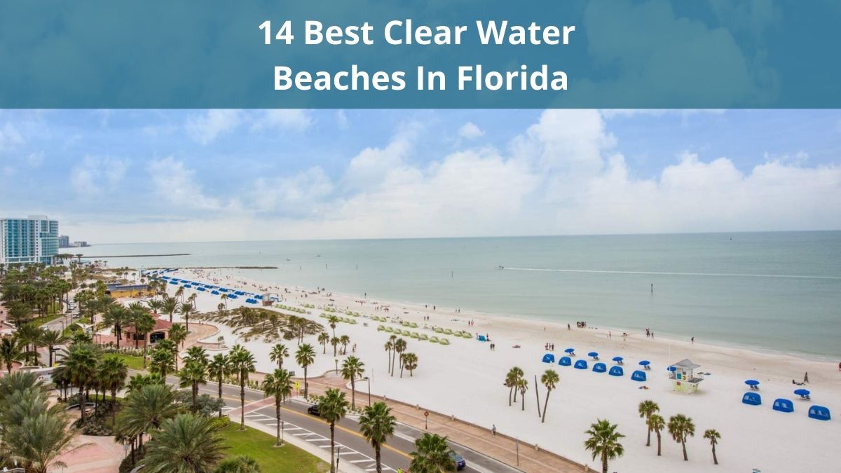 14 Best Clear Water Beaches In Florida