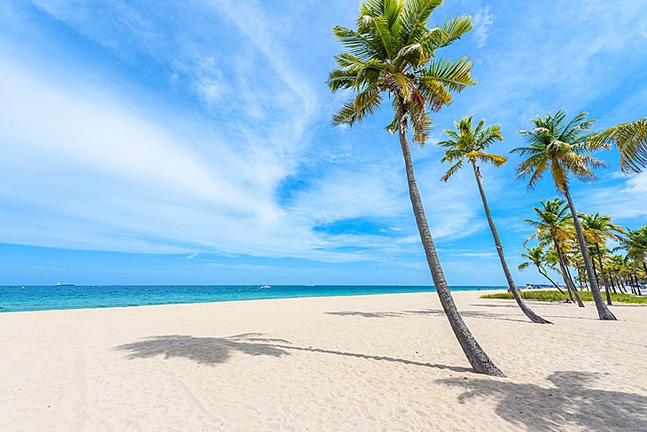 Best Family Beaches In Florida 14 Best Family Beaches In Florida - Fort Lauderdale Beach