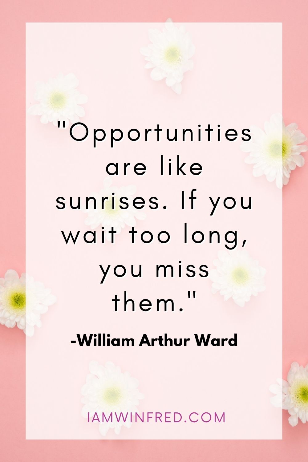 Opportunities Are Like Sunrises. If You Wait Too Long You Miss Them.