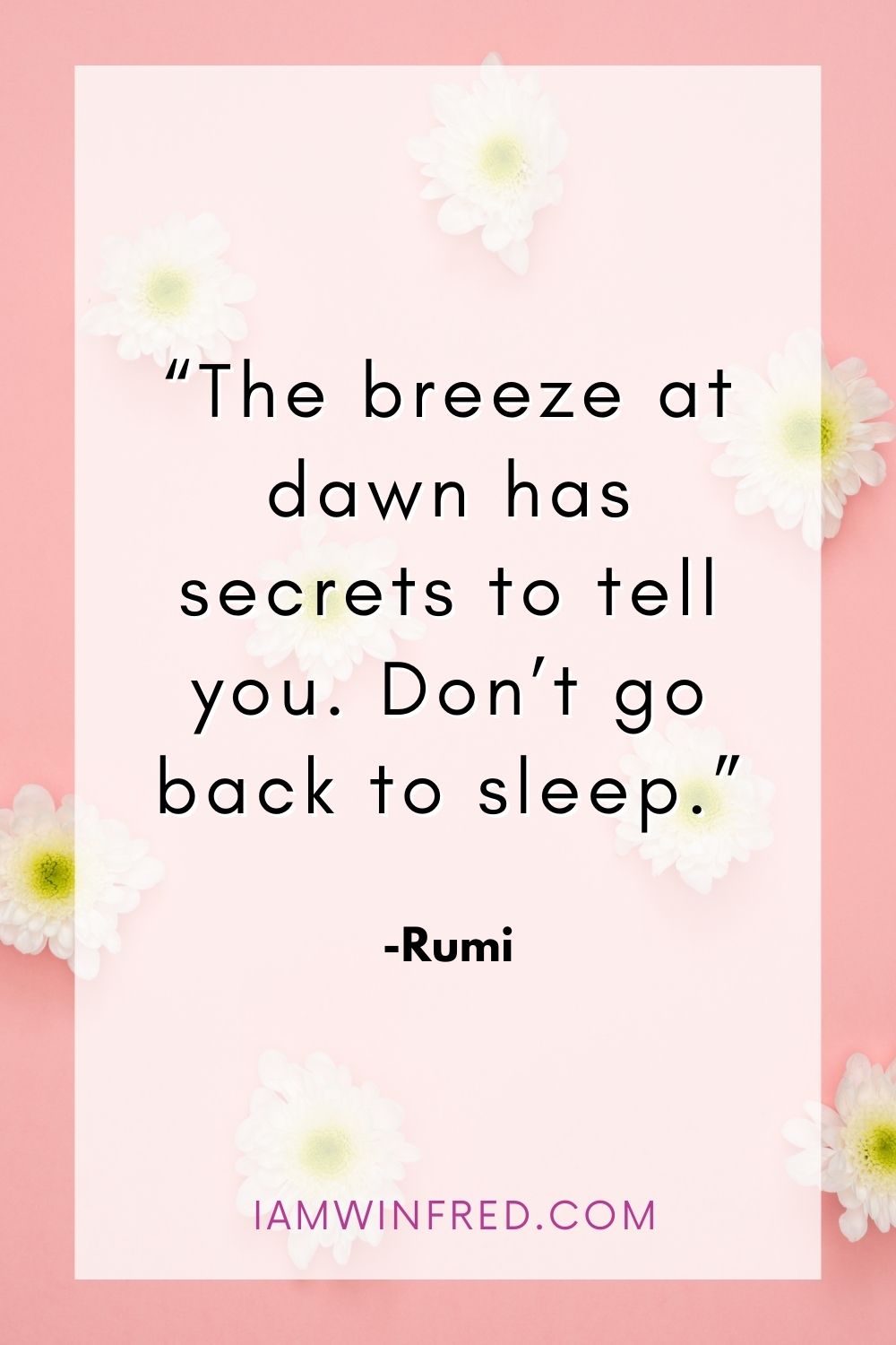 The Breeze At Dawn Has Secrets To Tell You. Dont Go Back To Sleep.