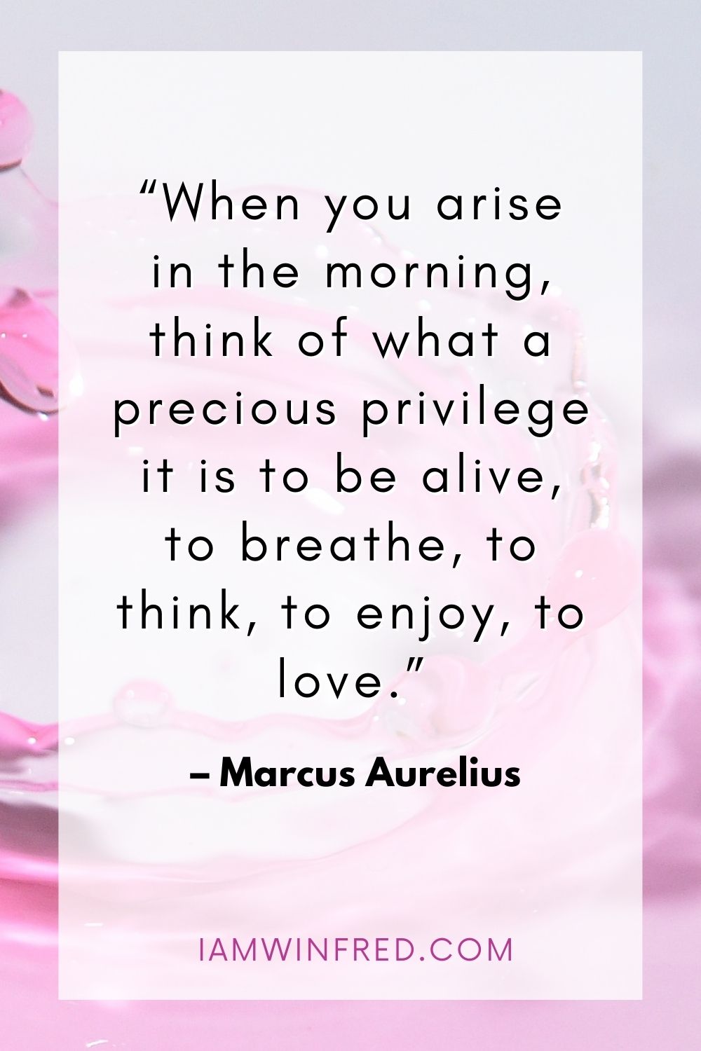 When You Arise In The Morning Think Of What A Precious Privilege It Is To Be Alive To Breathe To Think To Enjoy To Love.