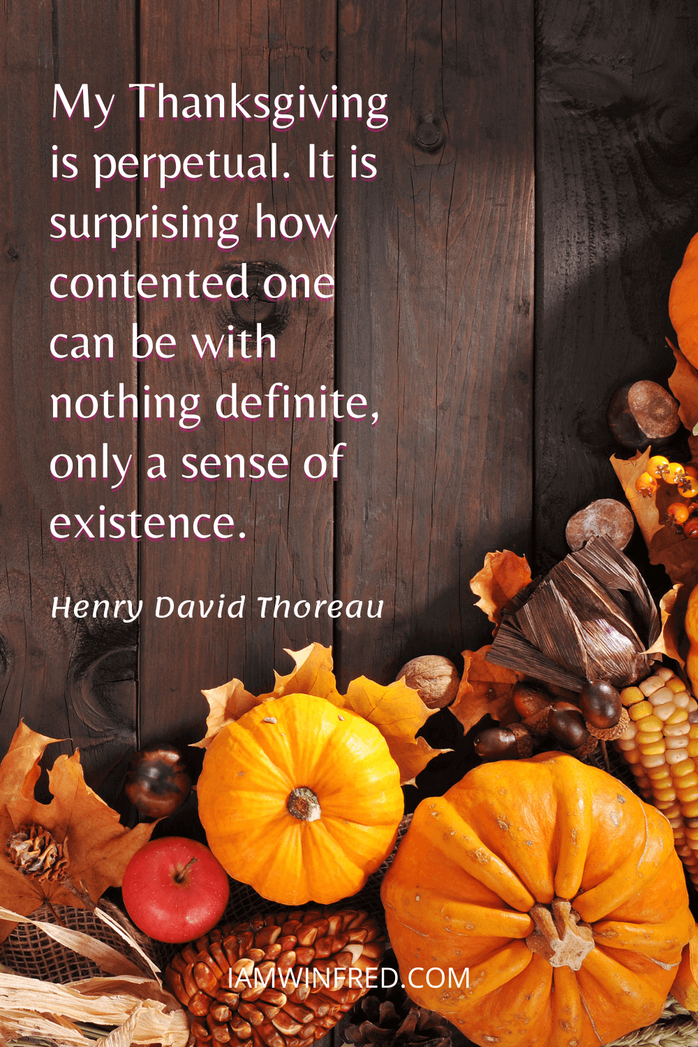 My Thanksgiving Is Perpetual. It Is Surprising How Contented One Can Be With Nothing Definite Only A Sense Of