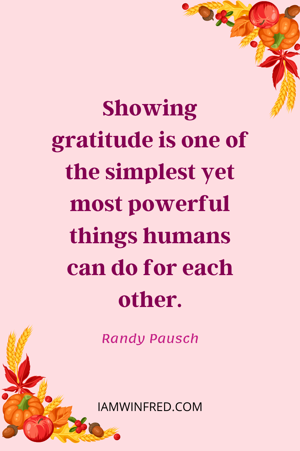 Showing Gratitude Is One Of The Simplest Yet Most Powerful Things Humans Can Do For Each Other