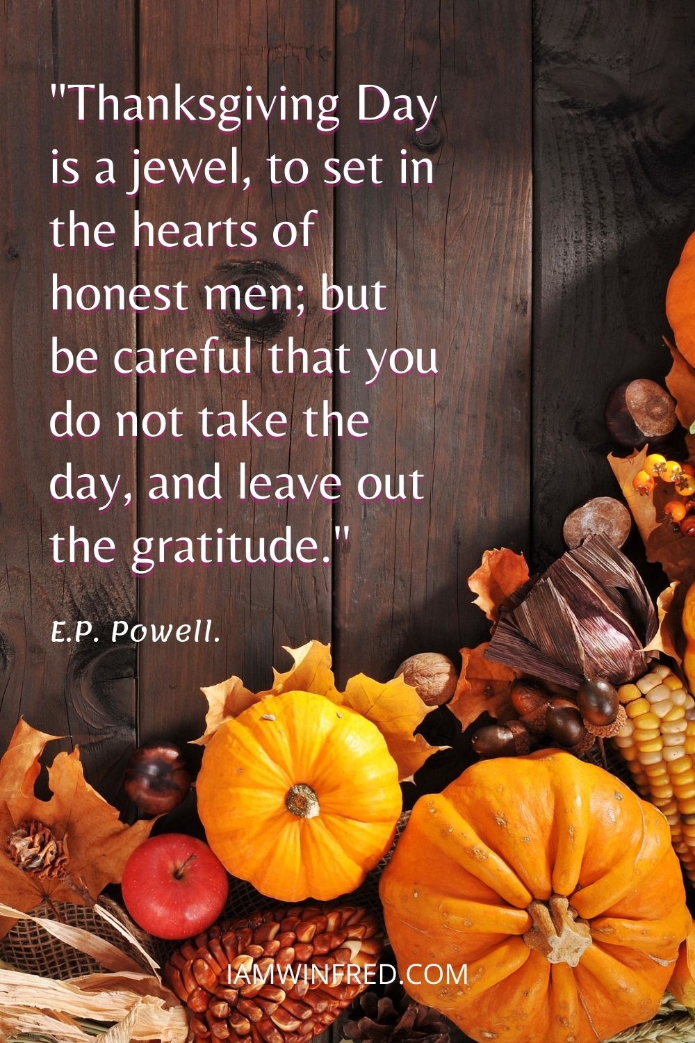 Thanksgiving Day Is A Jewel To Set In The Hearts Of Honest Men But Be Careful That You Do Not Take The Day And Leave Out The Gratitude.