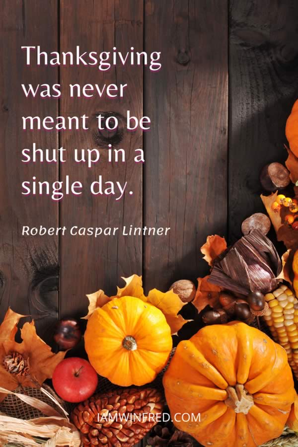 Thanksgiving Was Never Meant To Be Shut Up In A Single Day.