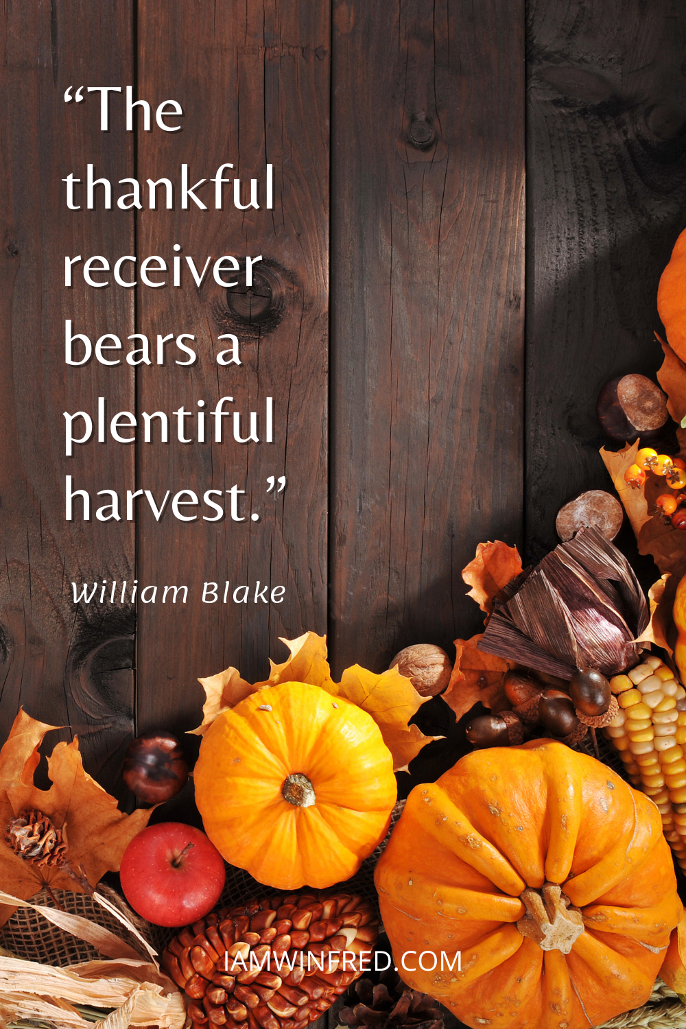 The Thankful Receiver Bears A Plentiful Harvest.