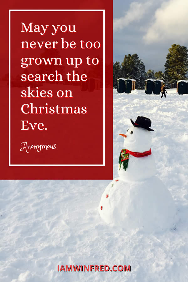 May You Never Be Too Grown Up To Search The Skies On Christmas Eve.