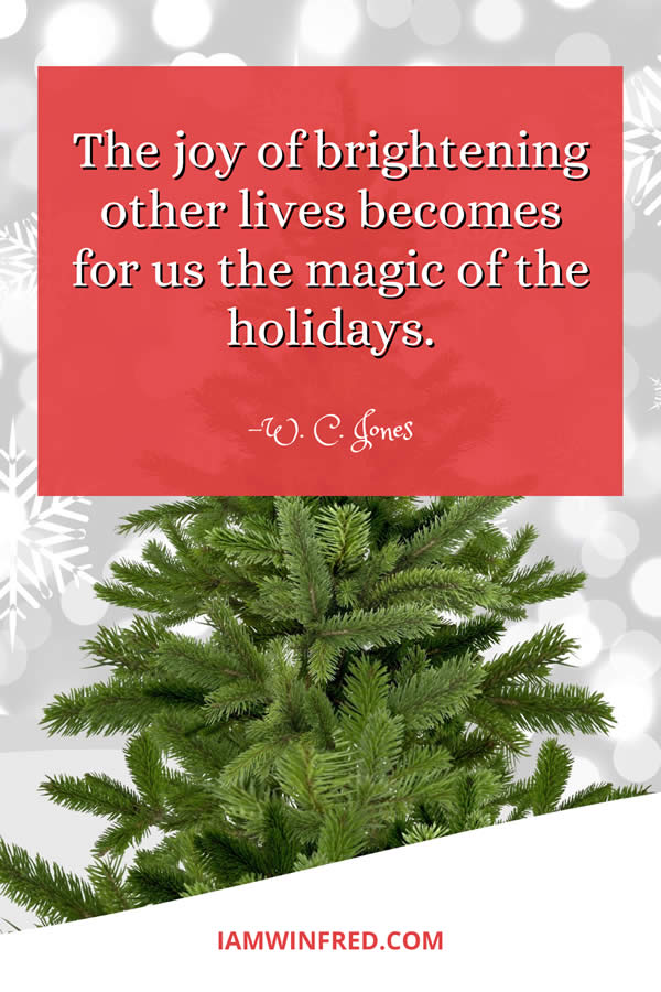 The Joy Of Brightening Other Lives Becomes For Us The Magic Of The Holidays.