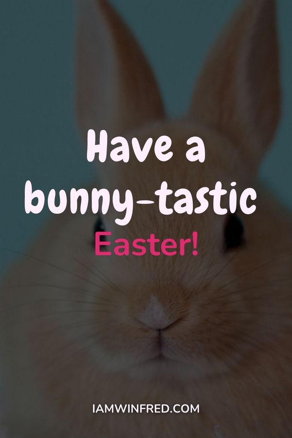 Easter Wishes - Have A Bunny-Tastic Easter