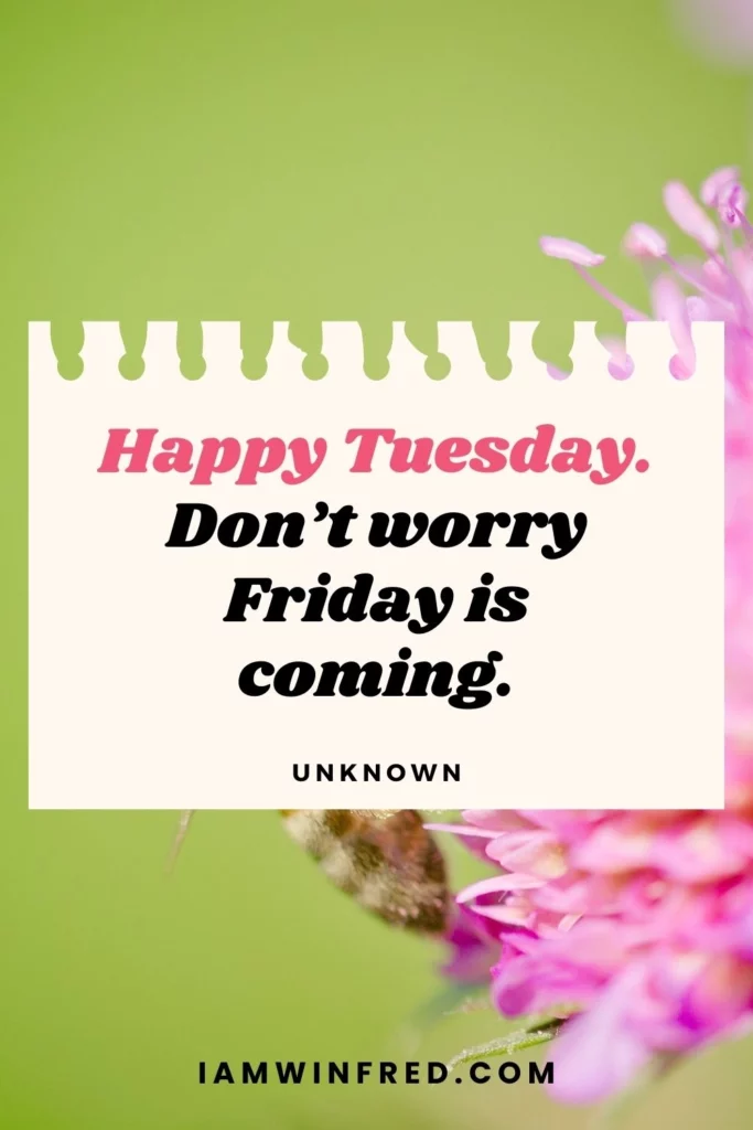Tuesday Quotes Unknown