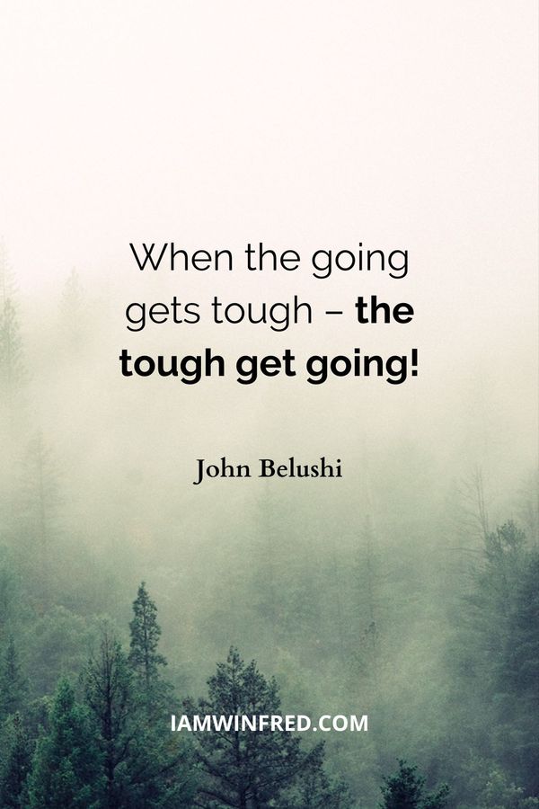 Hard Times Quotes - John Belushi
