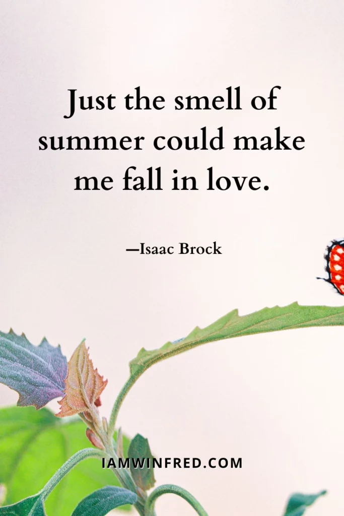 Summer Quotes - Isaac Brock