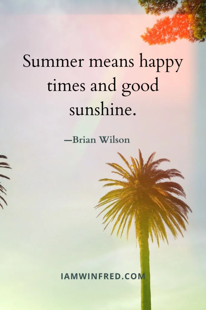 Summer Quotes - Brian Wilson