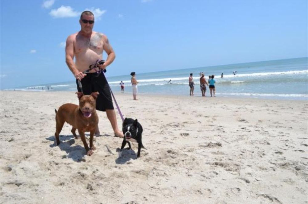 Dog-Friendly Beaches In Florida