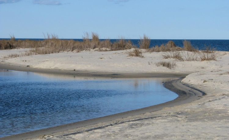 Bethel Beach Natural Area Preserve