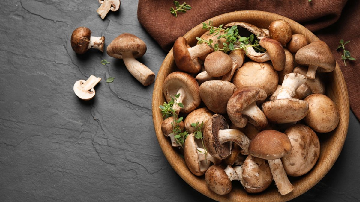 Health Benefits Of Mushrooms