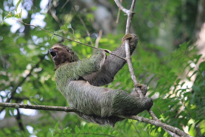 15 Best Things To Do In Costa Rica 23 Manuel Anthonio Park