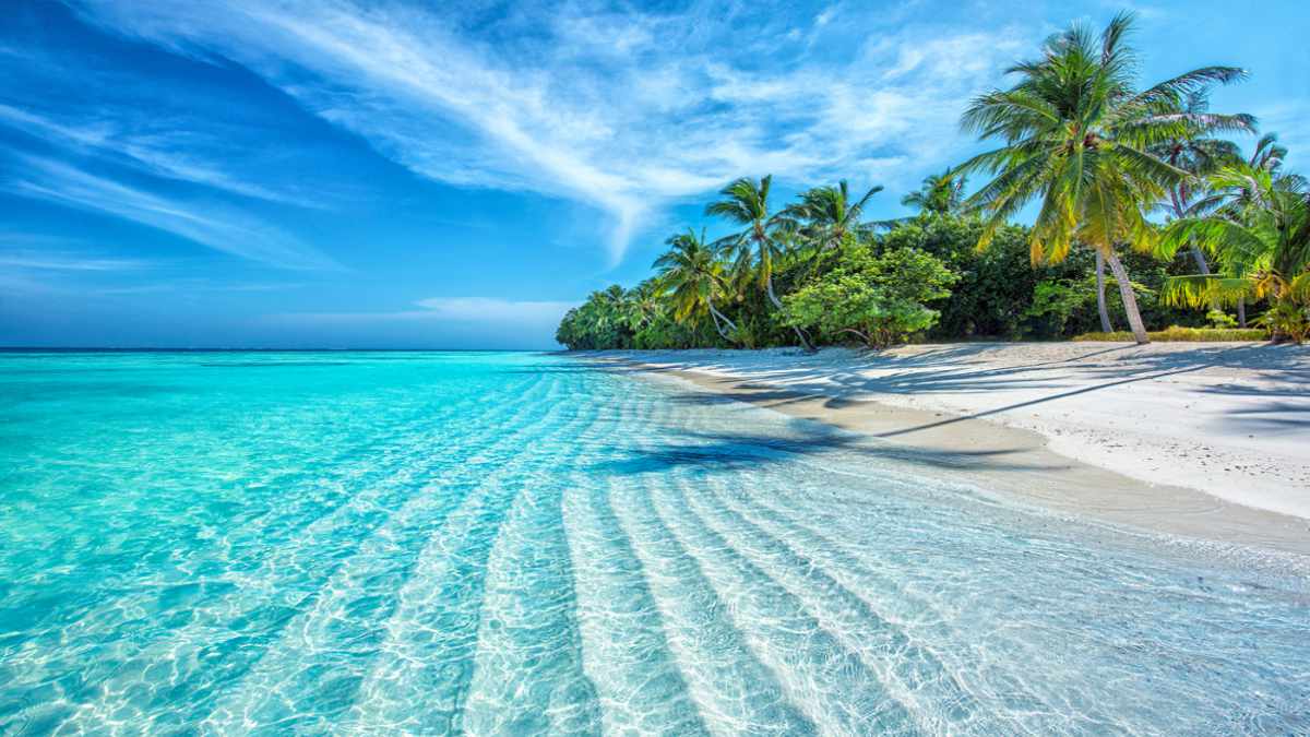 35 Best Clear Water Beaches In The World